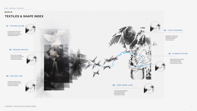 Index board 06: feather volume and flight sequence, the bird studies behind the petal modules.