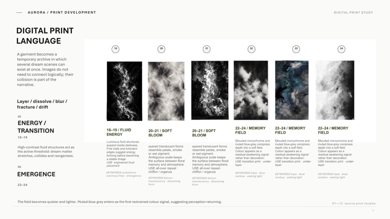 Print language 05 and 06: fluid energy and soft bloom giving way to the muted blue grey memory field.