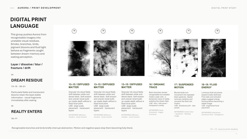 Digital print language 03, dream residue: diffused matter, organic trace and suspended motion studies continuing the print development sequence.