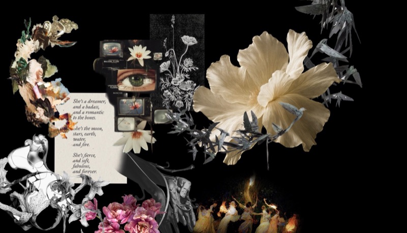 Dark floral concept board with the She's-a-dreamer manifesto text